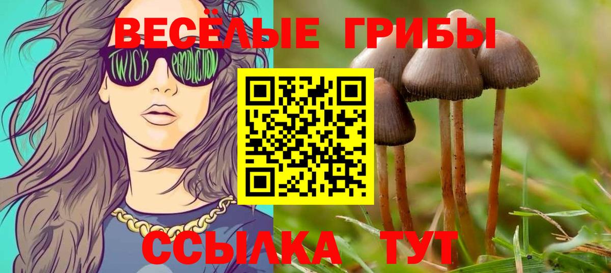 ЭКСТАЗИ  Каннабис  Мефедрон кристаллы  Вход с VPN  Каменск-Уральский  ГАШ  LSD-25 